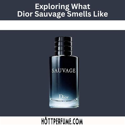 sauvage dior 3x20ml|what does dior sauvage smell like.